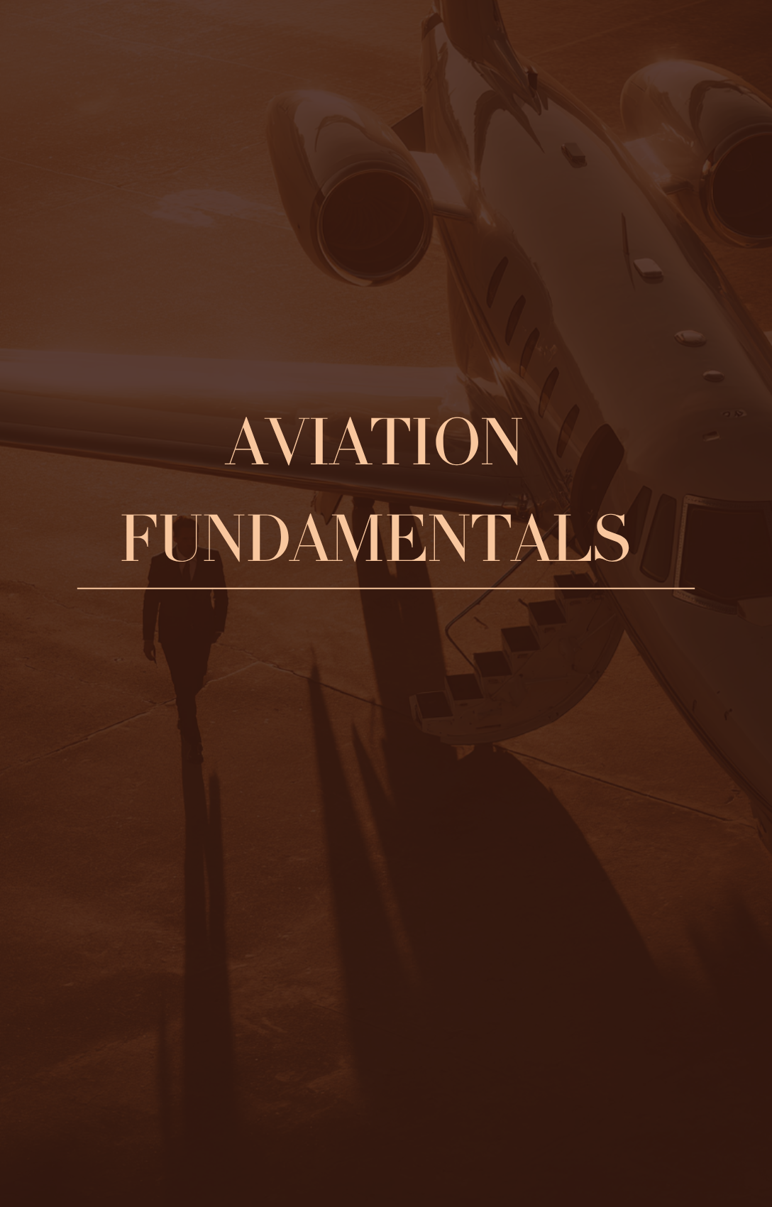 FLIGHT SELECTIVE Gateway to Aviation Excellence