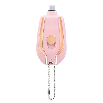 Lux Power Bank Charger